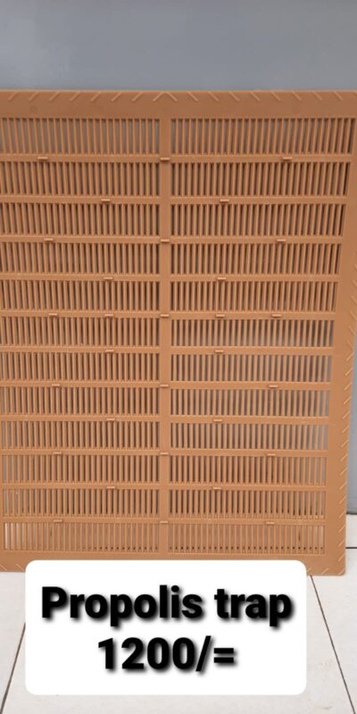 beez honey propolis trapper
